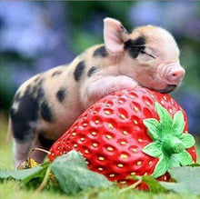 Laden Sie das Bild in den Galerie-Viewer, Diamond Painting, Baby Schwein und Erdbeere