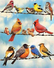 Laden Sie das Bild in den Galerie-Viewer, Diamond Painting, Vögel auf Stromleitung