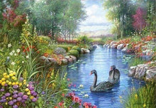 Laden Sie das Bild in den Galerie-Viewer, Diamond Painting, Schwarze Schwäne