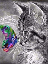 Laden Sie das Bild in den Galerie-Viewer, Diamond Painting, Katze und bunter Schmetterling