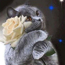 Laden Sie das Bild in den Galerie-Viewer, Diamond Painting, Katze und weiße Rose