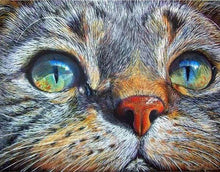 Laden Sie das Bild in den Galerie-Viewer, Diamond Painting, Katzengesicht