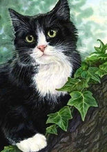 Laden Sie das Bild in den Galerie-Viewer, Diamond Painting, Katze auf dem Zweig
