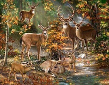Laden Sie das Bild in den Galerie-Viewer, Diamond Painting, Hirschfamilie