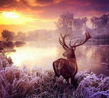 Laden Sie das Bild in den Galerie-Viewer, Diamond Painting, Hirsch am See