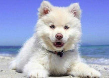 Laden Sie das Bild in den Galerie-Viewer, Diamond Painting, Hund am Strand