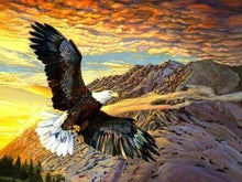 Laden Sie das Bild in den Galerie-Viewer, Diamond Painting, Flug des Adlers