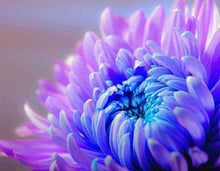 Laden Sie das Bild in den Galerie-Viewer, Diamond Painting, Blumenblüte