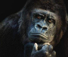 Laden Sie das Bild in den Galerie-Viewer, Diamond Painting, Gorilla