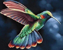 Laden Sie das Bild in den Galerie-Viewer, Diamond Painting, Kolibri in der Nacht