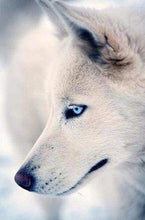 Laden Sie das Bild in den Galerie-Viewer, Diamond Painting, Weisser Husky