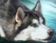 Laden Sie das Bild in den Galerie-Viewer, Diamond Painting, Husky mit blauen Augen