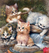 Laden Sie das Bild in den Galerie-Viewer, Diamond Painting, Kätzchen
