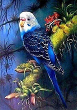 Laden Sie das Bild in den Galerie-Viewer, Diamond Painting, Großsittich
