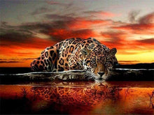 Laden Sie das Bild in den Galerie-Viewer, Diamond Painting, Leopard