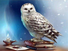 Laden Sie das Bild in den Galerie-Viewer, Diamond Painting, Eule und Buch