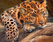 Laden Sie das Bild in den Galerie-Viewer, Diamond Painting, Panther