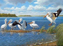 Laden Sie das Bild in den Galerie-Viewer, Diamond Painting, Pelikane