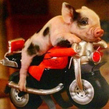 Laden Sie das Bild in den Galerie-Viewer, Diamond Painting, Schwein und Motorrad