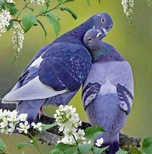 Laden Sie das Bild in den Galerie-Viewer, Diamond Painting, Verliebte Tauben