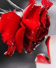 Laden Sie das Bild in den Galerie-Viewer, Diamond Painting, Rote Rose und Lippen