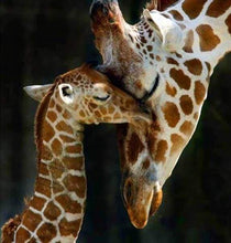 Laden Sie das Bild in den Galerie-Viewer, Diamond Painting, Die Giraffenfamilie