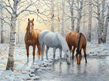 Laden Sie das Bild in den Galerie-Viewer, Diamond Painting, Drei Pferde im verschneiten Wald