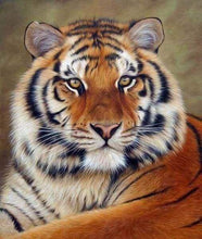 Laden Sie das Bild in den Galerie-Viewer, Diamond Painting, Tigerauge
