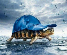 Laden Sie das Bild in den Galerie-Viewer, Diamond Painting, Schildkröte mit Cap