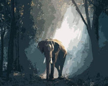 Laden Sie das Bild in den Galerie-Viewer, Malen nach Zahlen für Erwachsene | Elefant im dunklen Wald | Figured'Art