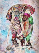 Laden Sie das Bild in den Galerie-Viewer, Malen nach Zahlen für Erwachsene | Farbiger Elefant | Figured'Art