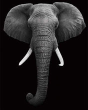 Laden Sie das Bild in den Galerie-Viewer, Malen nach Zahlen für Erwachsene | Elephant in grau und schwarz | Figured'Art