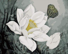 Laden Sie das Bild in den Galerie-Viewer, Malen nach Zahlen für Erwachsene | Weisse Lotusblume | Figured'Art