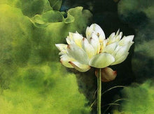 Laden Sie das Bild in den Galerie-Viewer, Malen nach Zahlen für Erwachsene | Lotosblume | Figured'Art