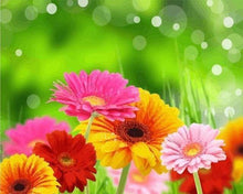 Laden Sie das Bild in den Galerie-Viewer, Malen nach Zahlen für Erwachsene | Frühlingsblumen | Figured'Art