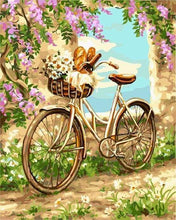 Laden Sie das Bild in den Galerie-Viewer, Malen nach Zahlen für Erwachsene | Blumen und Fahrrad | Figured'Art