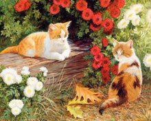 Laden Sie das Bild in den Galerie-Viewer, Malen nach Zahlen für Erwachsene | Blumen und Kätzchen | Figured'Art