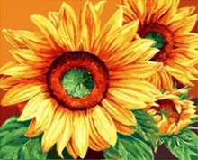 Laden Sie das Bild in den Galerie-Viewer, Malen nach Zahlen für Erwachsene | Große Sonnenblumen | Figured'Art