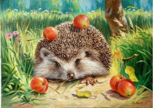 Laden Sie das Bild in den Galerie-Viewer, Malen nach Zahlen für Erwachsene | Igel mit Kirschen | Figured'Art