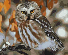 Laden Sie das Bild in den Galerie-Viewer, Malen nach Zahlen für Erwachsene | Braune und graue Eule | Figured'Art