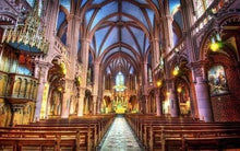 Laden Sie das Bild in den Galerie-Viewer, Malen nach Zahlen für Erwachsene | Innerhalb von Notre Dame | Figured'Art