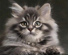 Laden Sie das Bild in den Galerie-Viewer, Malen nach Zahlen für Erwachsene | Hübsche Maine-Coon-Katze | Figured'Art