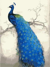 Laden Sie das Bild in den Galerie-Viewer, Malen nach Zahlen für Erwachsene | Schöner Pfau | Figured'Art