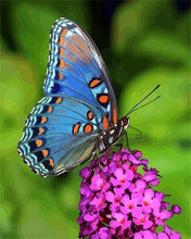 Laden Sie das Bild in den Galerie-Viewer, Malen nach Zahlen für Erwachsene | Schmetterling auf der Blume | Figured'Art