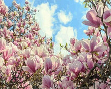 Laden Sie das Bild in den Galerie-Viewer, Malen nach Zahlen für Erwachsene | Schöne blühende Magnolias | Figured'Art