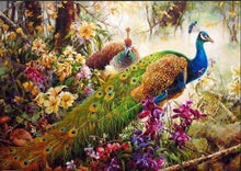 Laden Sie das Bild in den Galerie-Viewer, Malen nach Zahlen für Erwachsene | Schöne Pfauen | Figured'Art