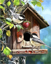 Laden Sie das Bild in den Galerie-Viewer, Malen nach Zahlen für Erwachsene | Haus der Vögel | Figured'Art