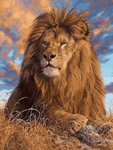 Laden Sie das Bild in den Galerie-Viewer, Malen nach Zahlen für Erwachsene | Löwe am erholen | Figured'Art