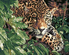 Laden Sie das Bild in den Galerie-Viewer, Malen nach Zahlen für Erwachsene | Leopard auf der Jagt | Figured'Art