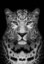 Laden Sie das Bild in den Galerie-Viewer, Malen nach Zahlen für Erwachsene | Grauer Leopard | Figured'Art